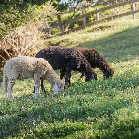 Ahrnhof * Инсбрук