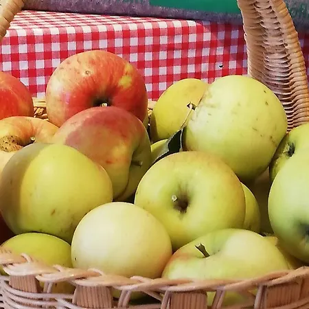 Appartamento Ahrnhof *