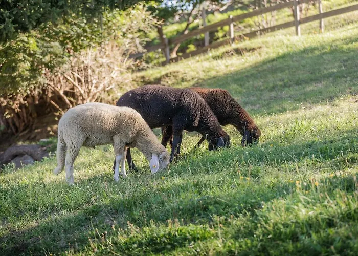 Ahrnhof * Инсбрук