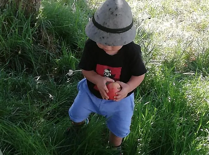 Ahrnhof * Ίνσμπρουκ